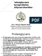 Proteoglycans SB