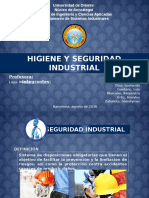 Higiene y Seguridad Industrial - Final