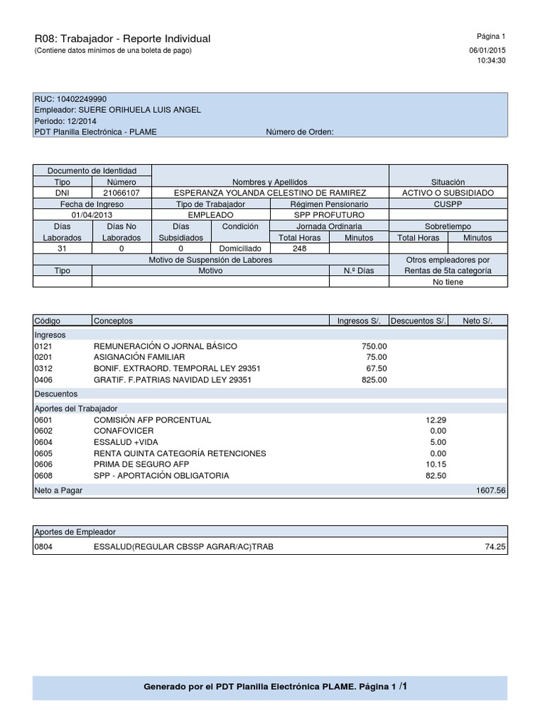 Formato R08 de Essalud PLAME | PDF