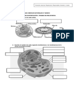 GUiA_8_PERiODO_DE_SUSTENTACIoN.pdf