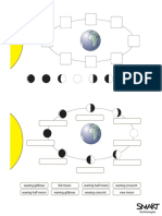 Moon Phases Worksheet