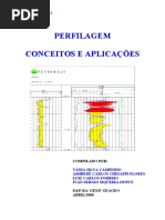 42387866-Curso-de-Perfiles.pdf