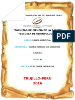 FORO 11 ( SALUD AMBIENTAL) Indira Ruiz.docx