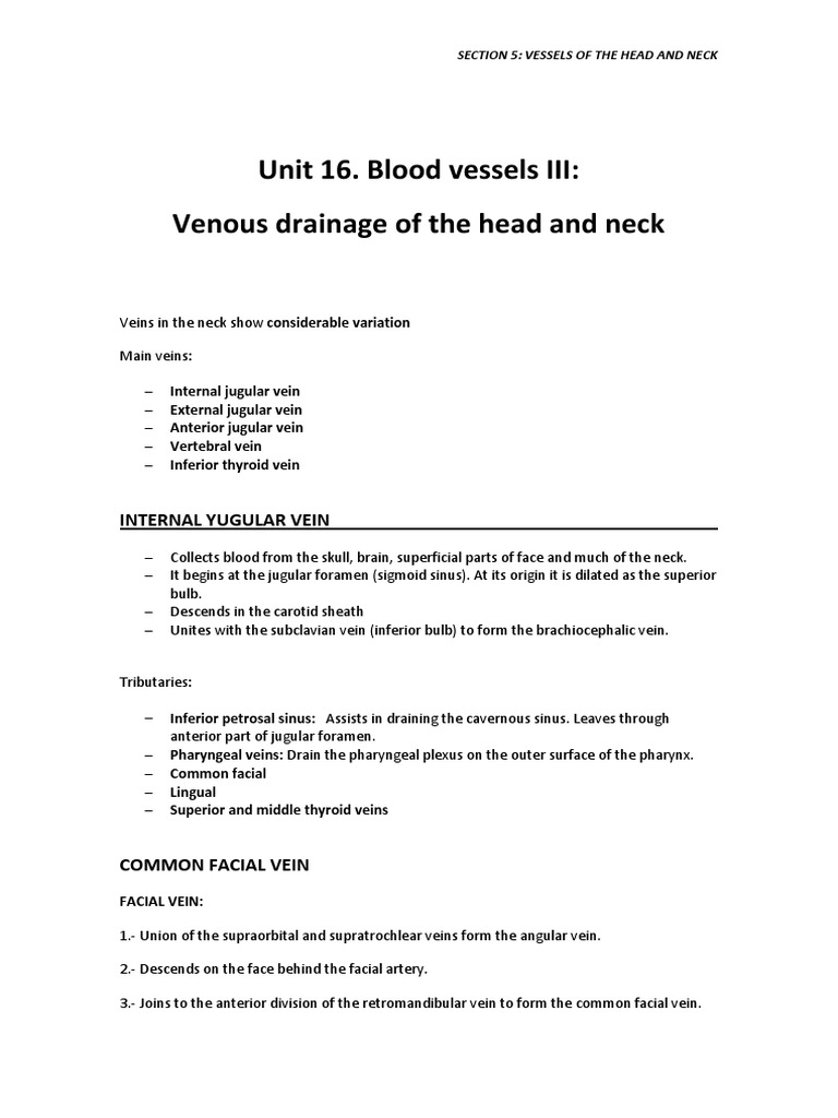 Unit 16 Neck Vein