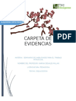 Carpeta de Evidencias