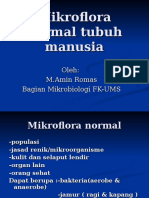 Mikroflora Normal Tubuh