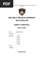 224855584-Ambito-Temporal-de-La-Ley.docx