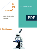 Unit 2 Cell Structure and Function