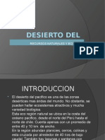 Desierto Del Pacifico