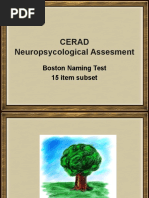 Cerad Memory Test Word List Pdf