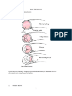 Basic Pathology Chapter 11: Artherosclerosis: A. How It Starts