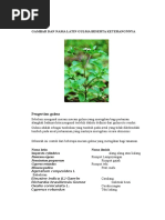 Download Gambar Dan Nama Latin Gulma Beserta Keterangnnya by Teguh Aldo SN328671177 doc pdf