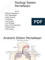 Sistem Pernafasan