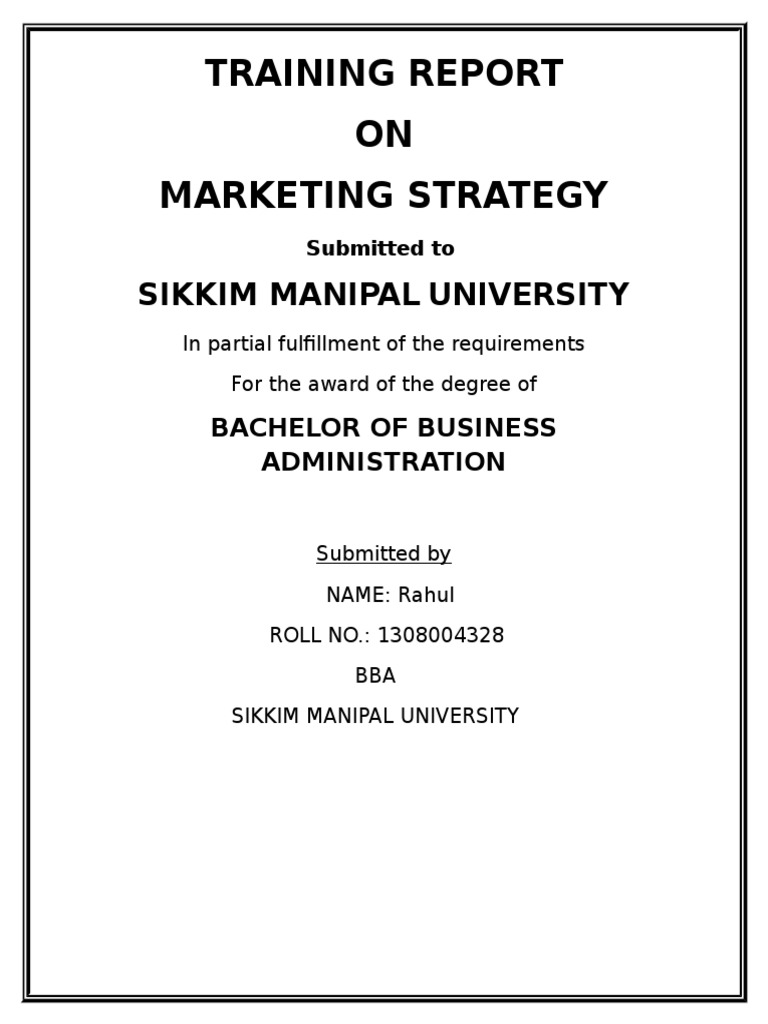 dissertation report for bba marketing
