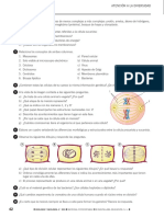 190878590 31274725 Ejercicios de Refuerzo de Biologia y Geologia de 4º de ESO Santillana