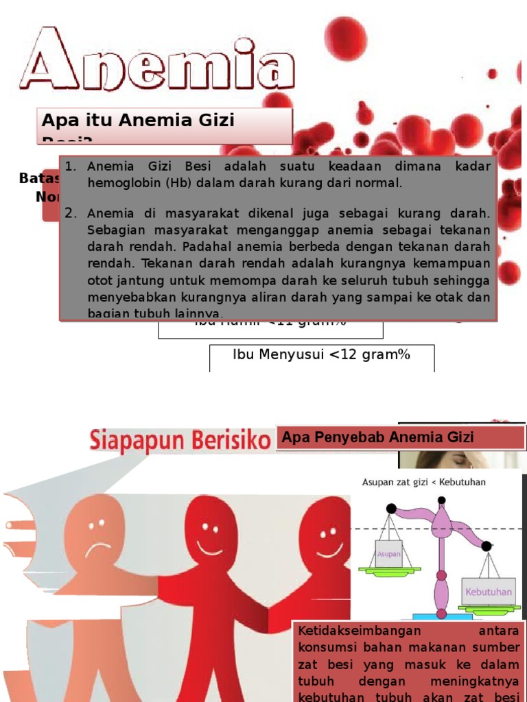 Flipchart Anemia Gizi Besi