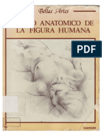 310006110 Anatomia Artistica