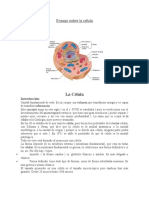 Ensayo Sobre La Célula Online