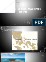 Balesin Island: Maldives of PH