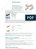 Tipos de Mutaciones