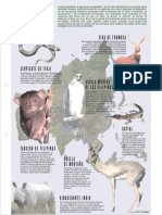 Animales de Asia PDF