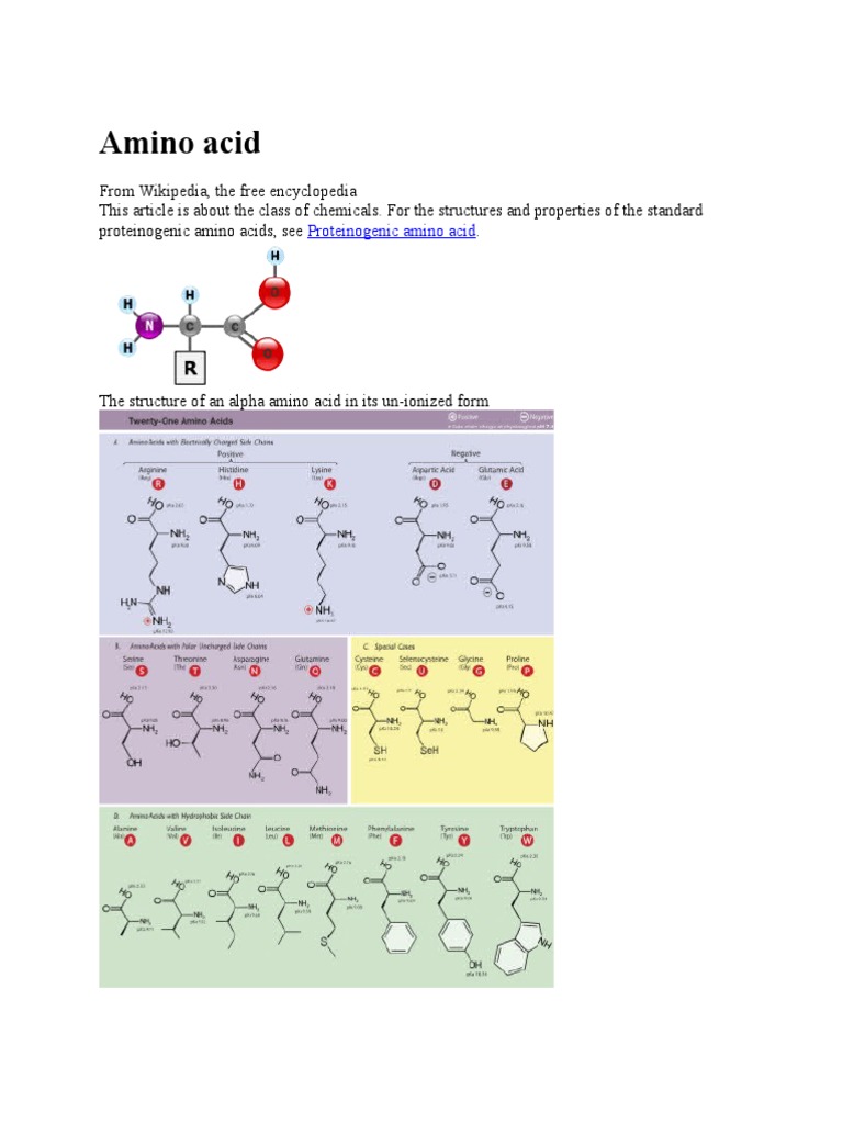 Overview of Amino Acids and Their Roles | PDF | Amino Acid | Biosynthesis
