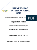 Conuslta Seguridad Integral - Seguridad Fisica