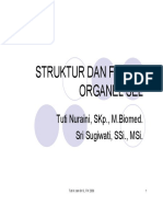 sel1prokarioteukariotstrukturdanfungsimembransel.pdf