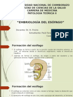 Embriología Esofago Expo 