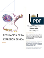Regulación de La Expresión Génica