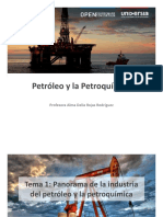 Panorama de La Industria Del Petroleo y La Petroquimica