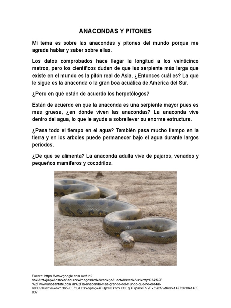 Anacondas y Pitones PDF