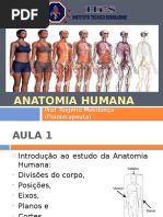 Anatomia Humana