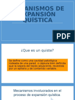 Mecanismos de Expansión Quística 3