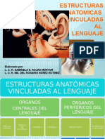 Estructuras Anatomicas Vinculadas Al Lenguaje