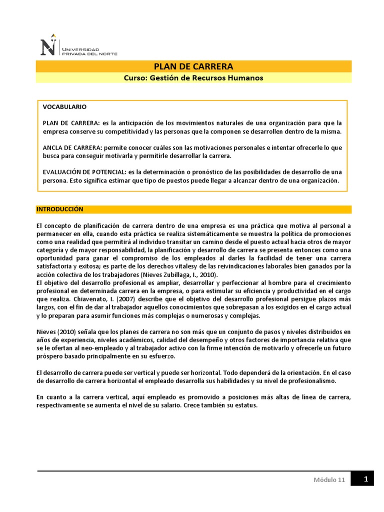 Plan de Carrera y Sucesión | PDF | Recursos humanos | Competitividad