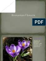 Romanian Flowers1