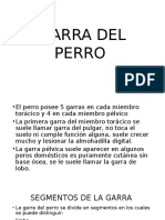 GARRA DEL PERRO.pptx