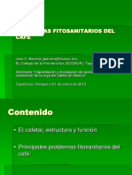 I. Problemas Fitosanitarios del café.pdf