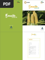 Background Paper India Maize Summit