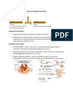 Sistem Reproduksi Pria (on Web)