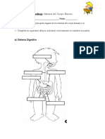 gua sistemas del cuerpo humano.docx