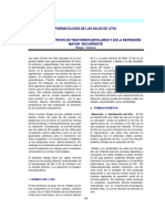 15_litio.pdf