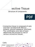 Connective Tissue Structure