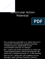 Action Potantial