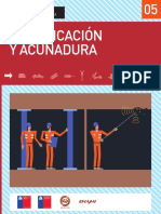 7.fortificacion-acunadura.pdf