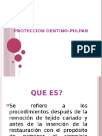 Proteccion Dentino-Pulpar