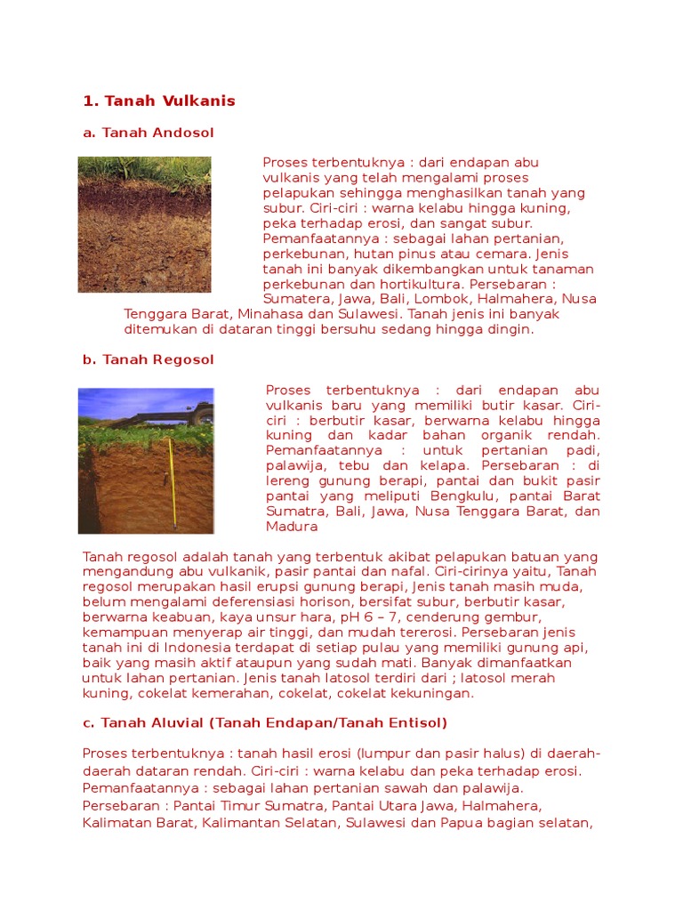 Jenis-Jenis Tanah Di Indonesia | PDF