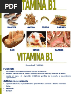 Vitaminas liposolubles pdf