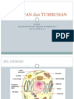 Sel Hewan Dan Tumbuhan